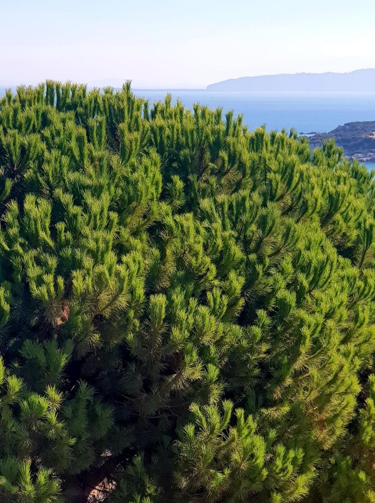 North Wind Hotels - Karaburun Karaburun  Zewnętrze zdjęcie